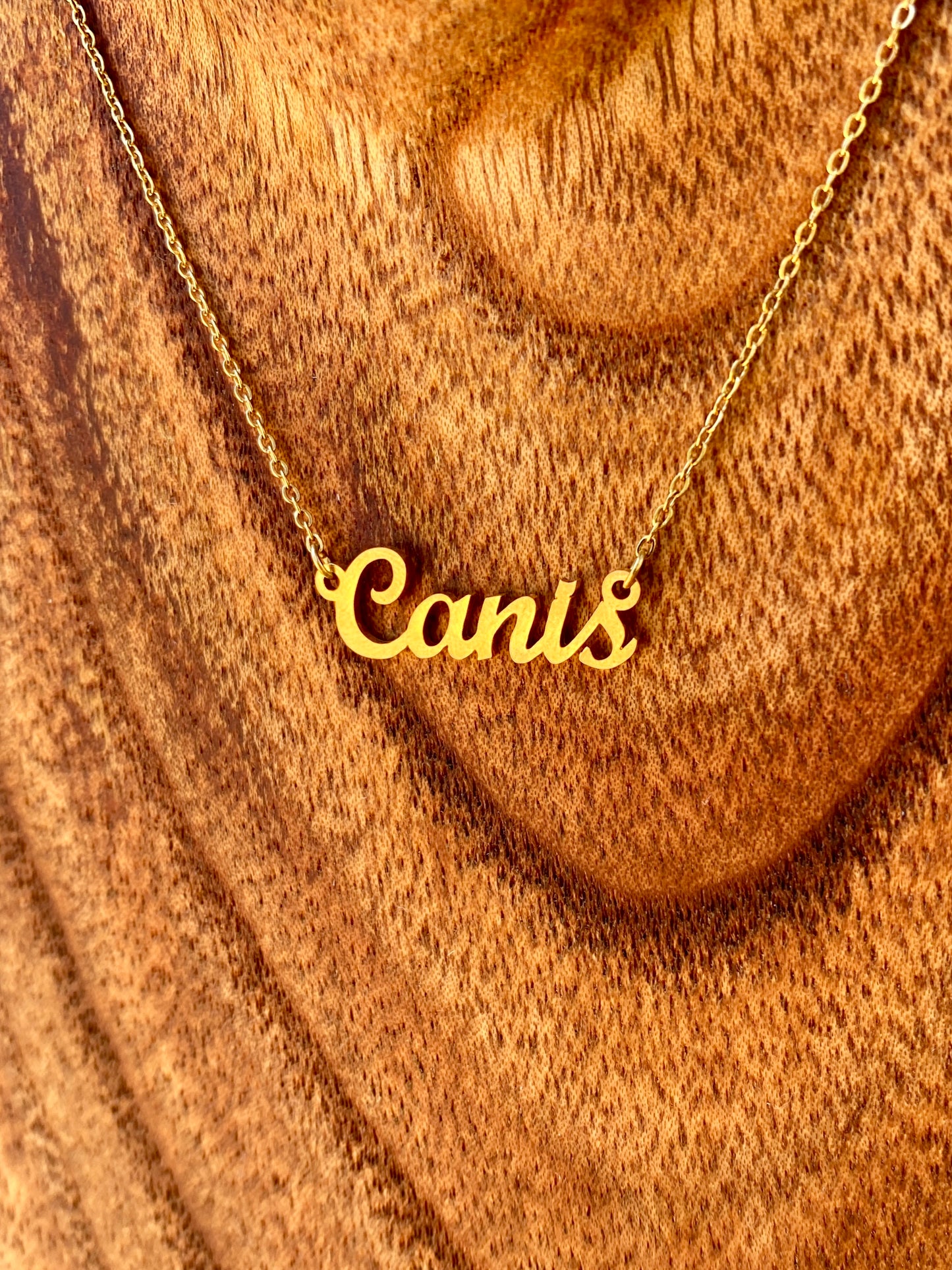 Canis Necklace – The Dog and Wolf Genus