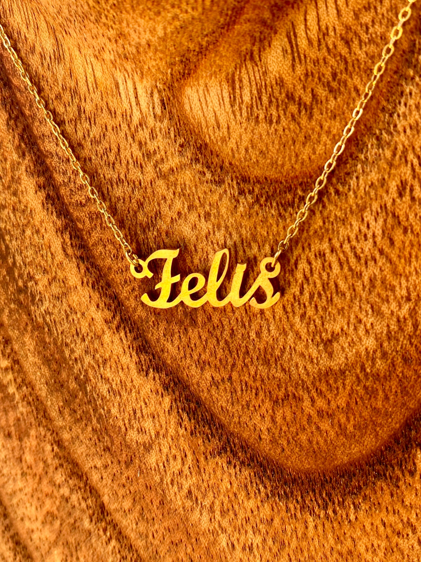 Felis Necklace – The Cat Genus
