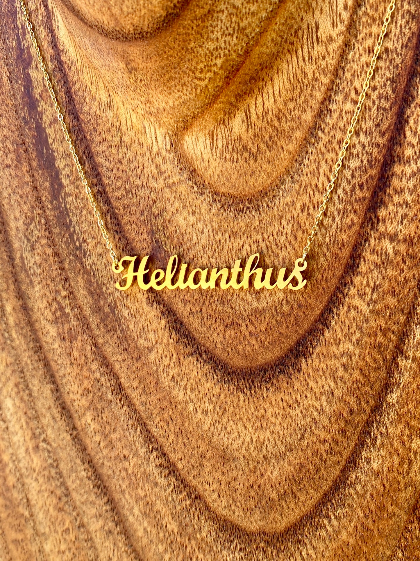 Helianthus Necklace – The Sunflower Genus