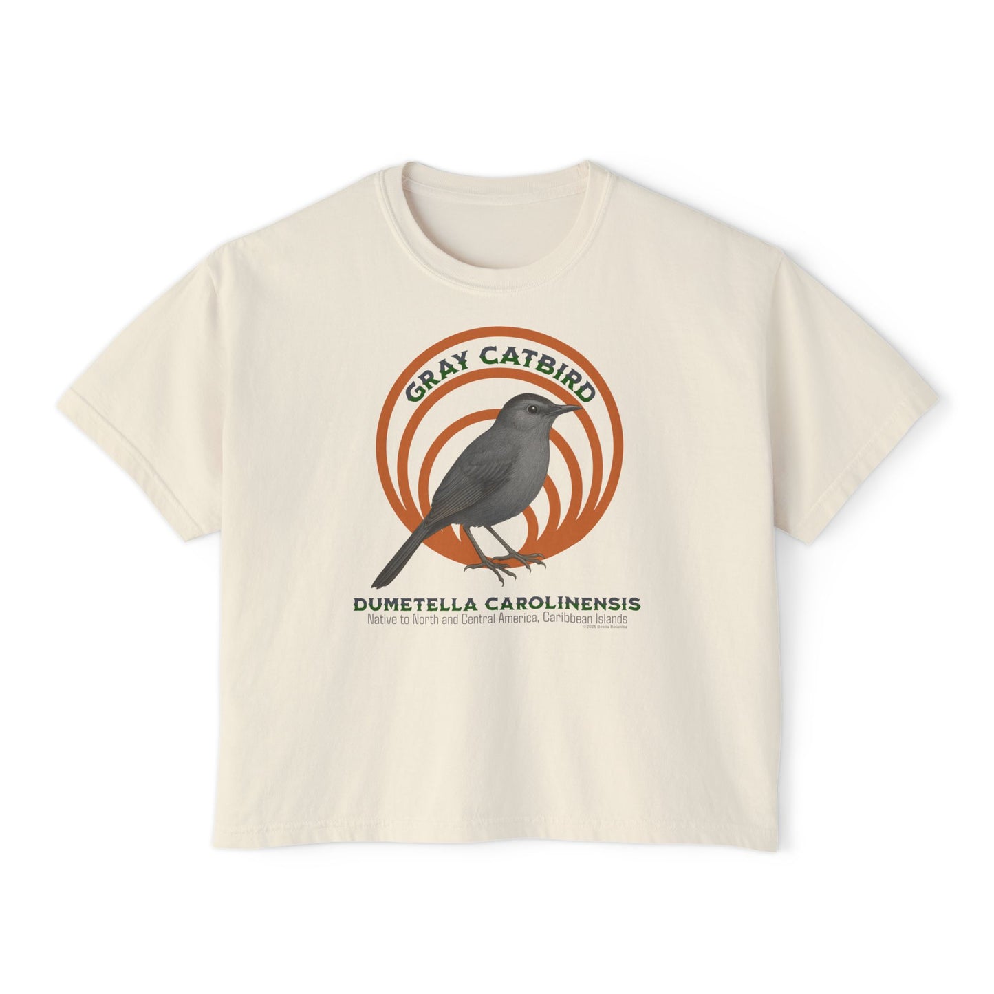 Gray Catbird (Dumetella carolinensis) - Cropped Boxy T-Shirt