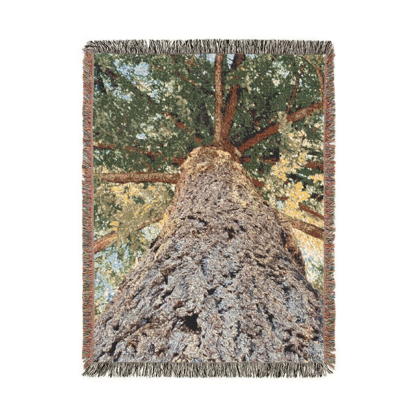 Douglas Fir (Pseudotsuga menziesii) - Woven Cotton Blanket