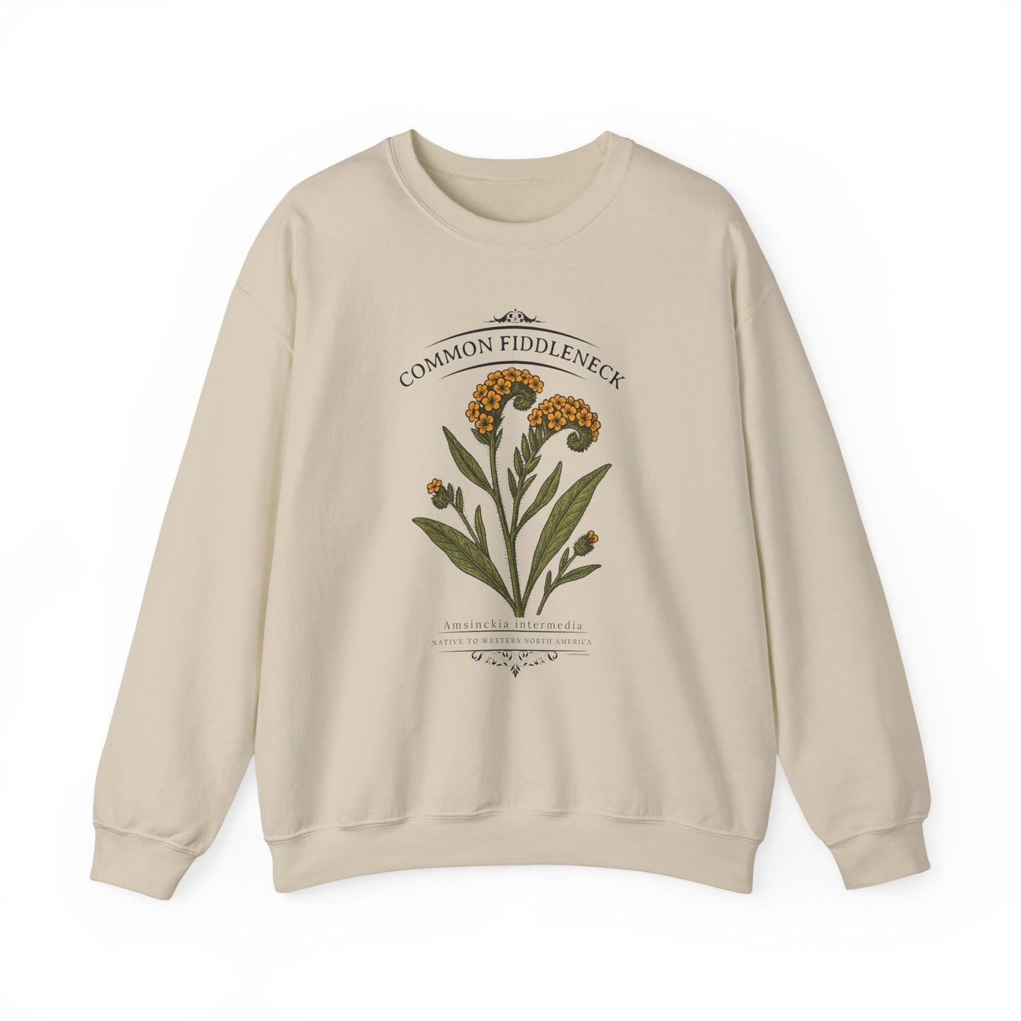 Common Fiddleneck (Amsinckia intermedia) - Crewneck Sweatshirt