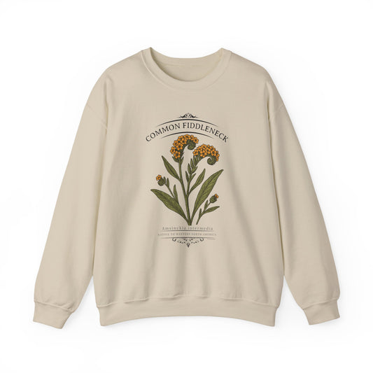 Common Fiddleneck (Amsinckia intermedia) - Crewneck Sweatshirt