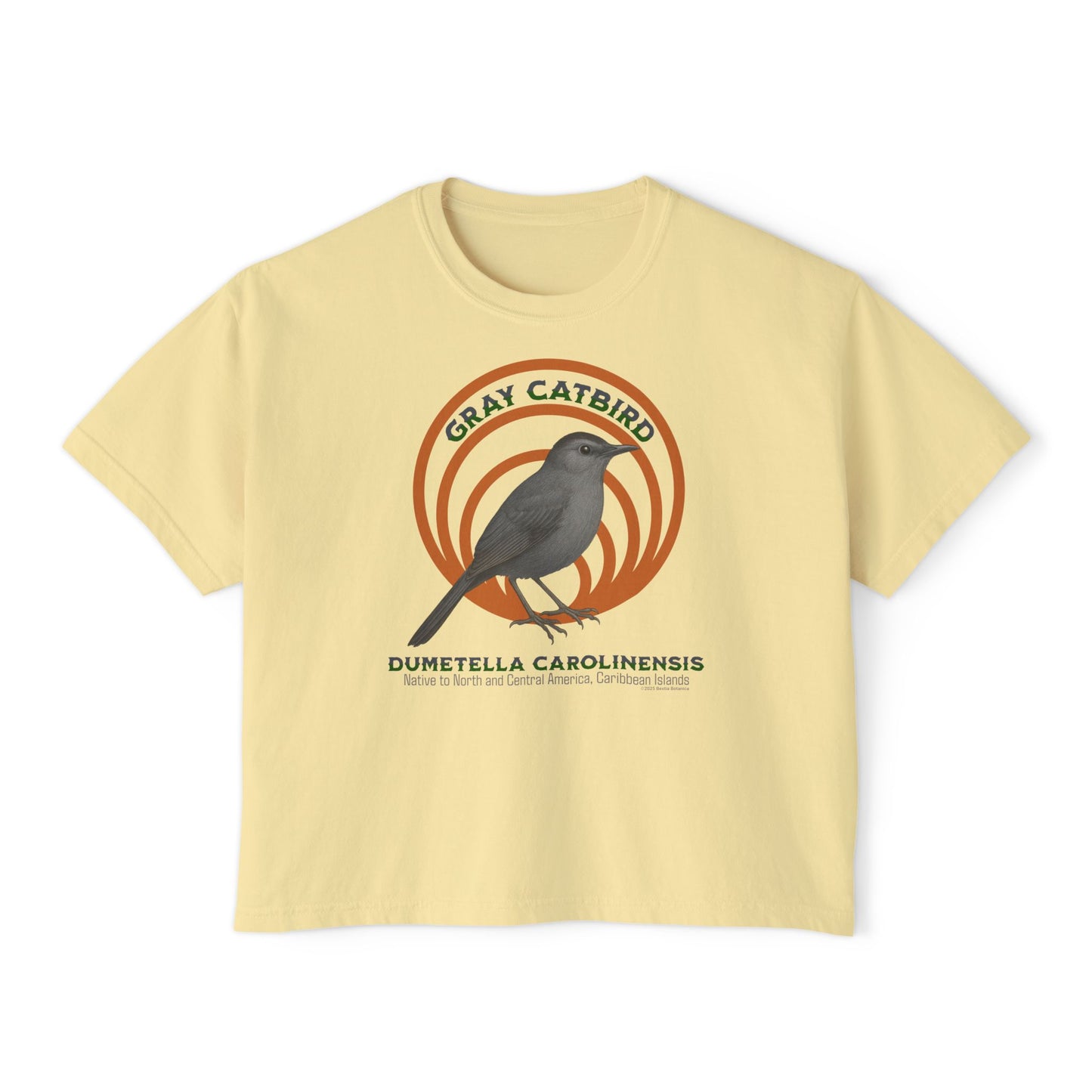 Gray Catbird (Dumetella carolinensis) - Cropped Boxy T-Shirt