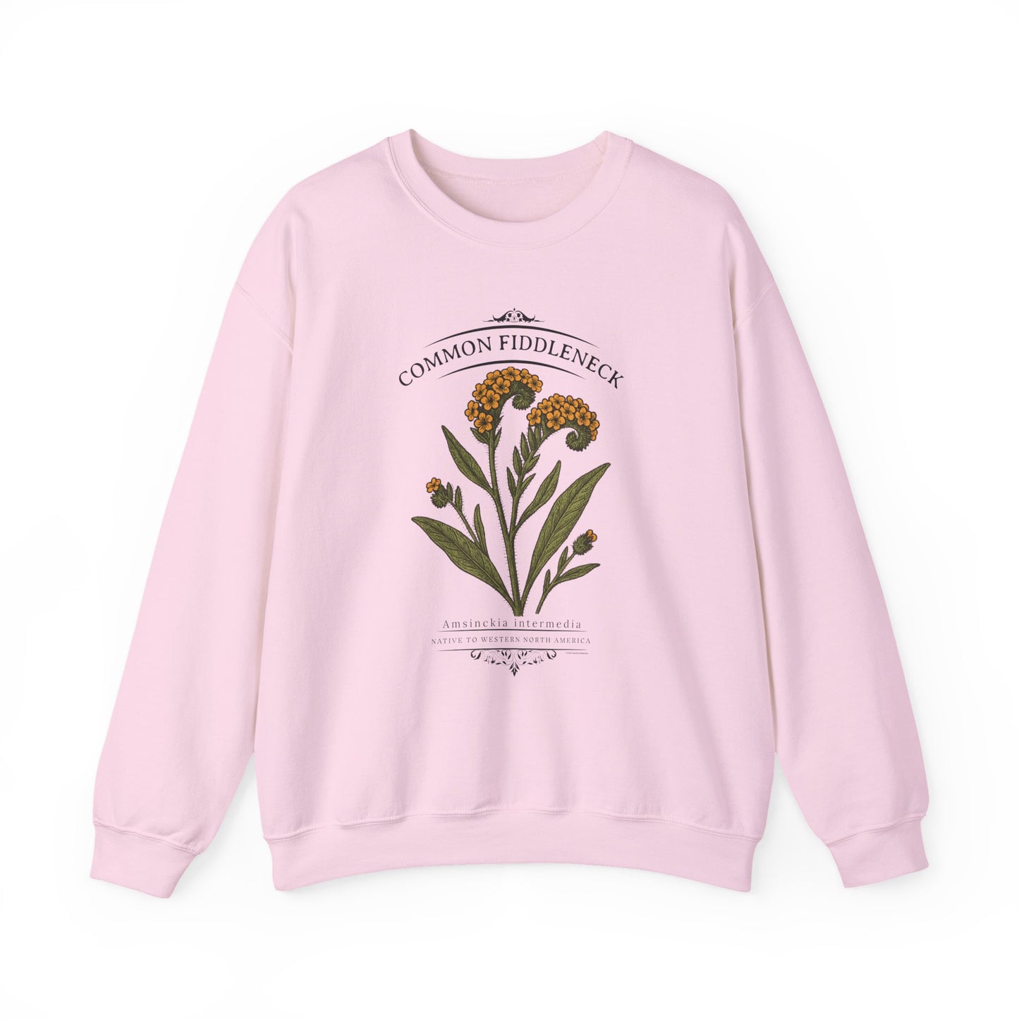 Common Fiddleneck (Amsinckia intermedia) - Crewneck Sweatshirt