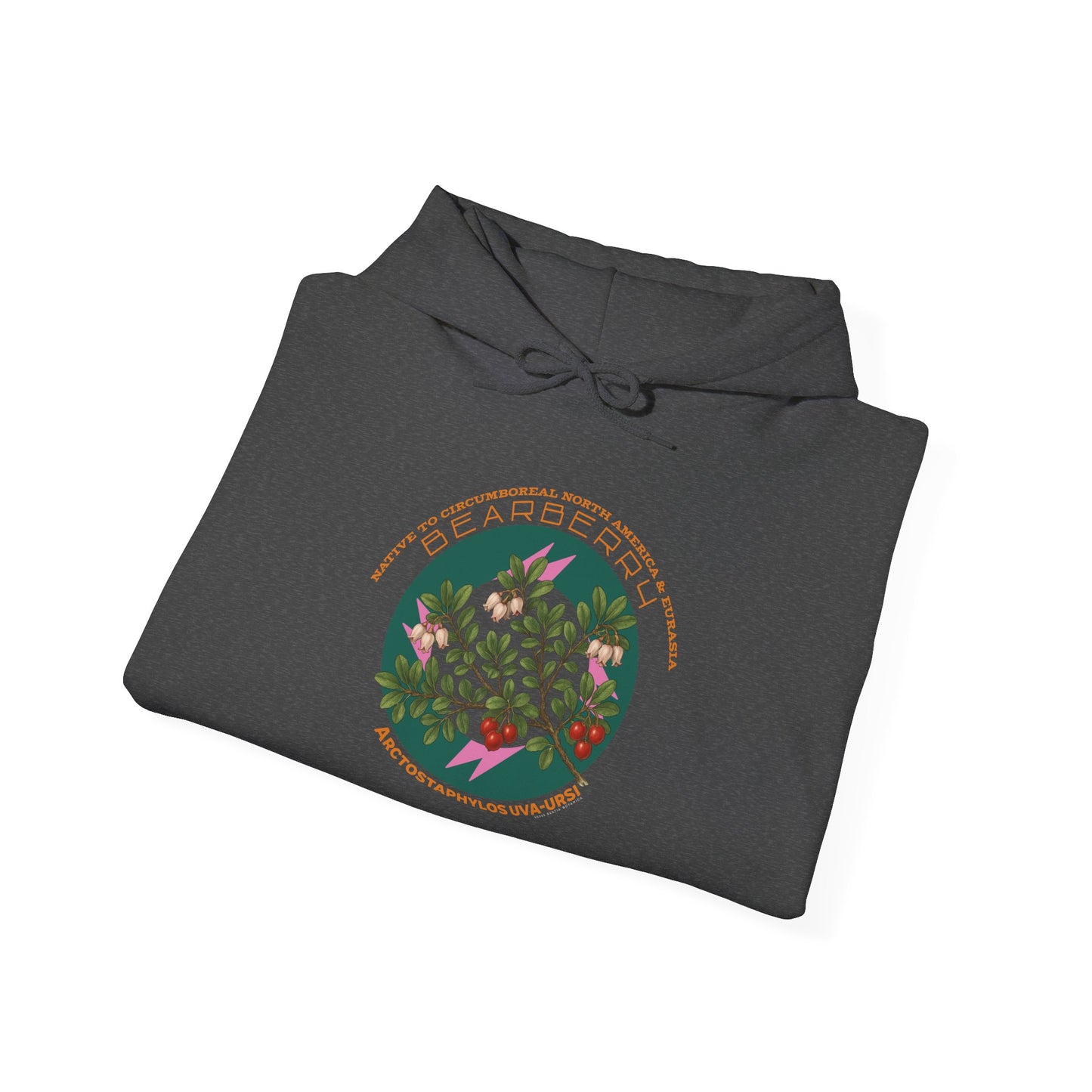Bearberry (Arctostaphylos uva-ursi)  - Hooded Sweatshirt