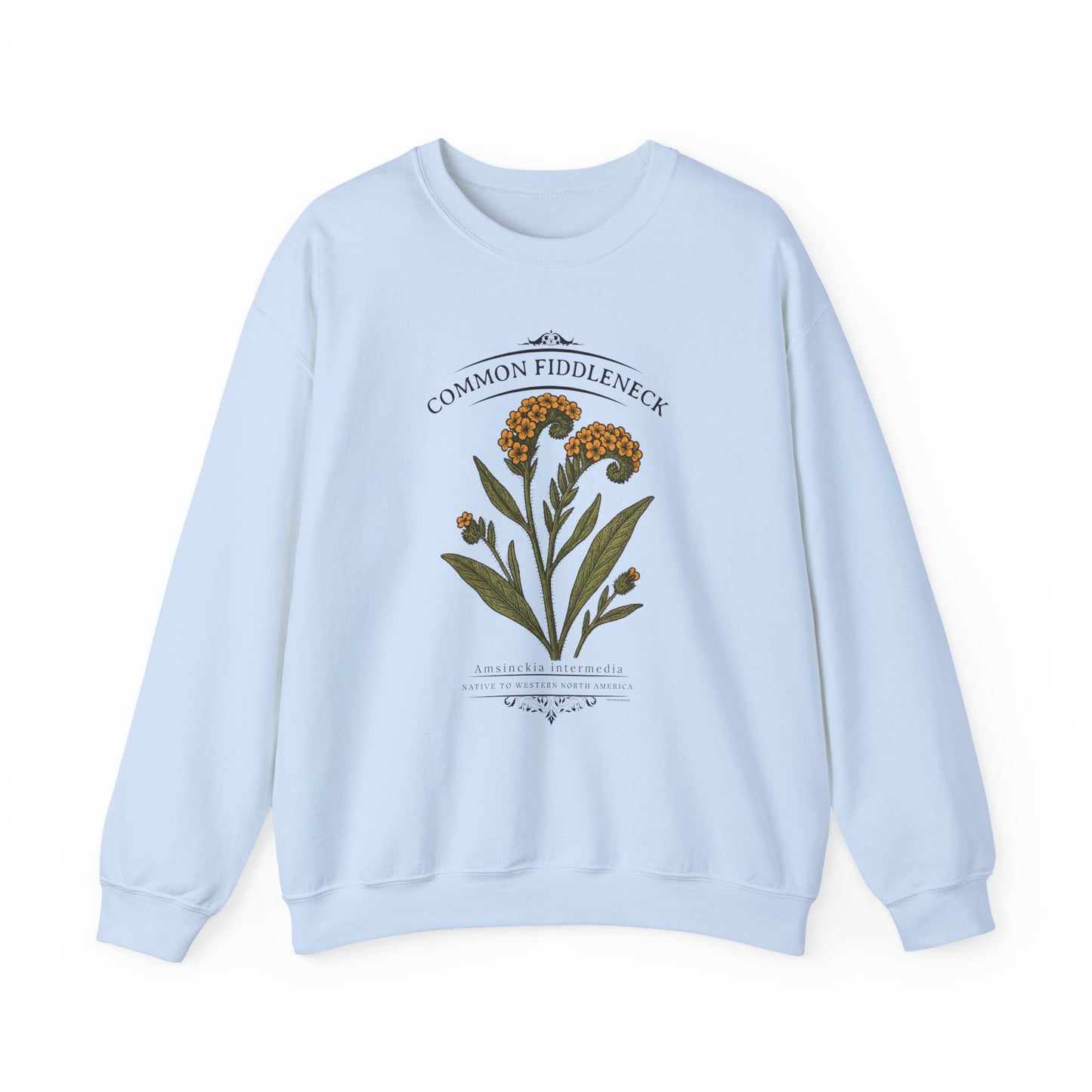 Common Fiddleneck (Amsinckia intermedia) - Crewneck Sweatshirt