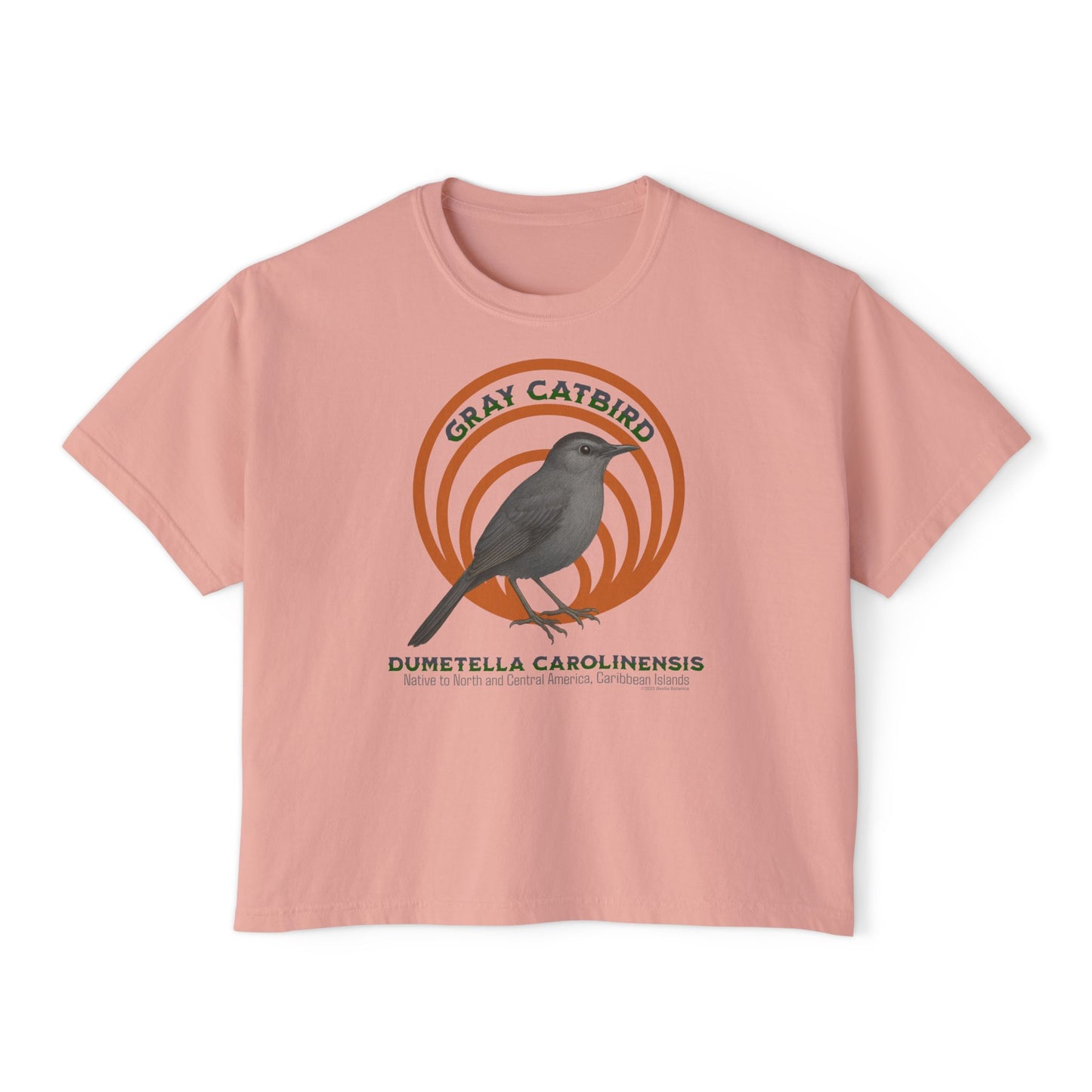 Gray Catbird (Dumetella carolinensis) - Cropped Boxy T-Shirt