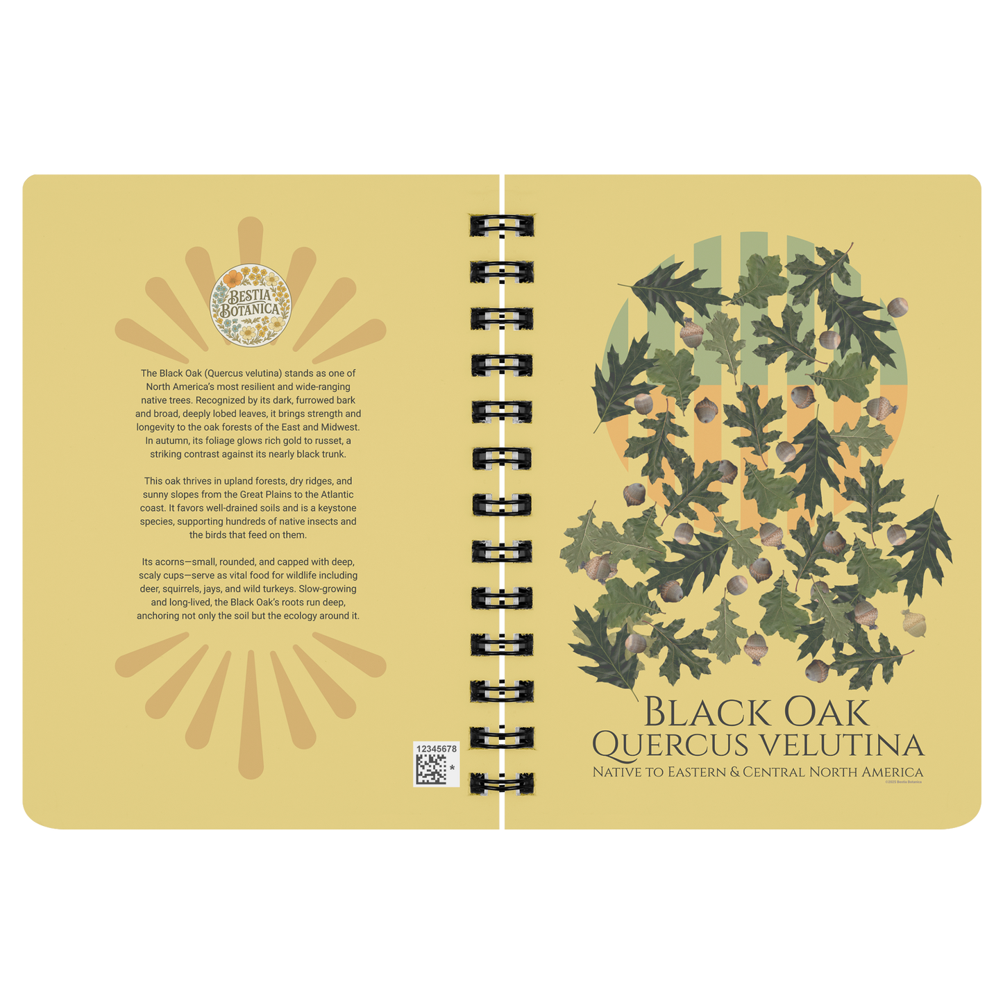 Black_Oak_Quercus_velutina_-_Spiralbou_SN_Open_Covers_Mockup.png