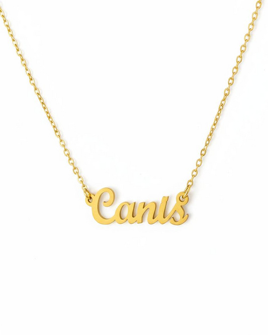 Canis Necklace – The Dog and Wolf Genus