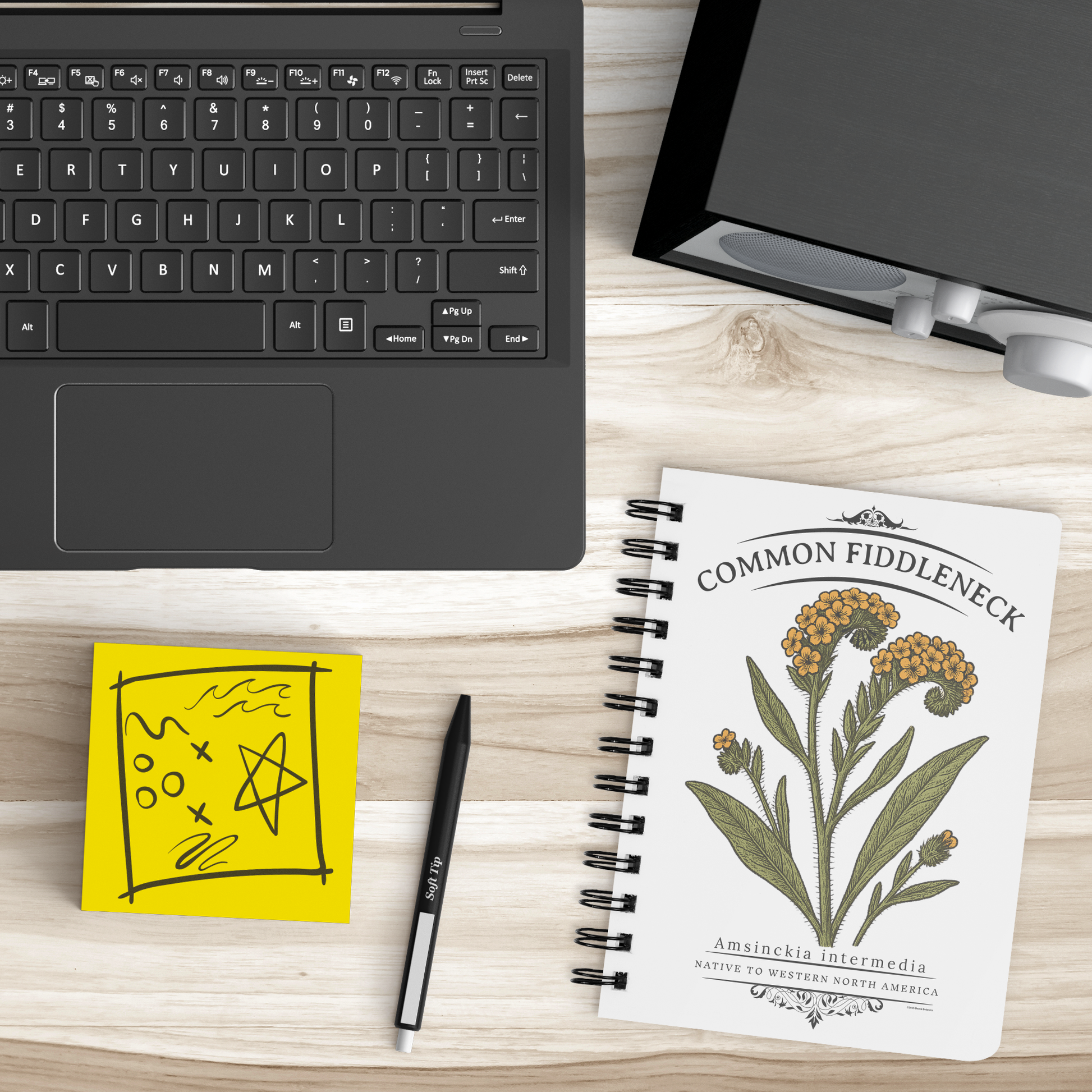 Common_Fiddleneck_Amsinckia_intermedia_SB_Lifestyle_Mockup.png