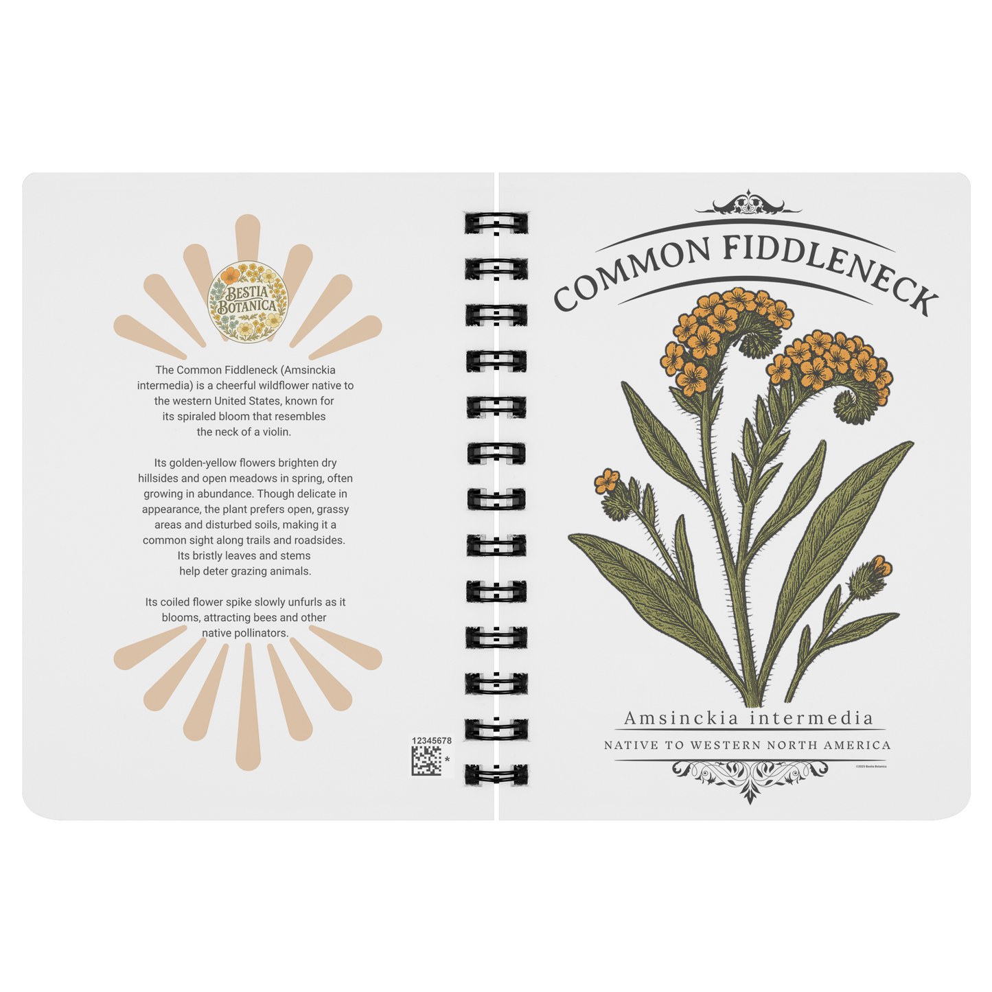Common_Fiddleneck_Amsinckia_intermedia_SN_Open_Covers_Mockup.png