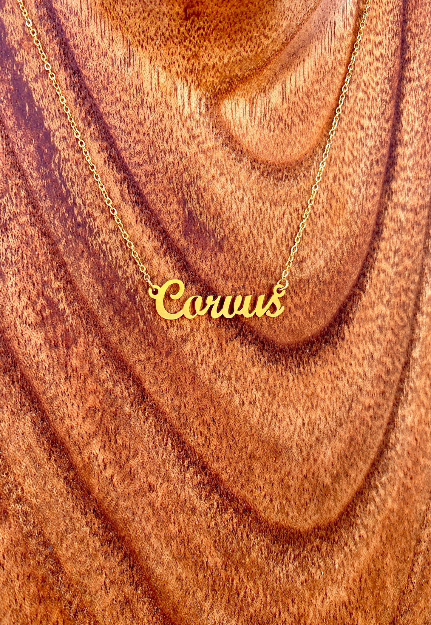 Corvus Necklace – The Raven and Crow Genus