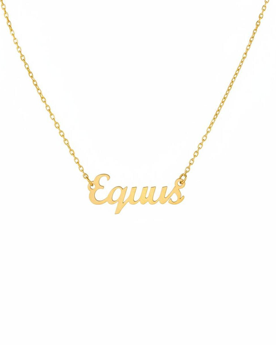 Equus Necklace – The Horse Genus