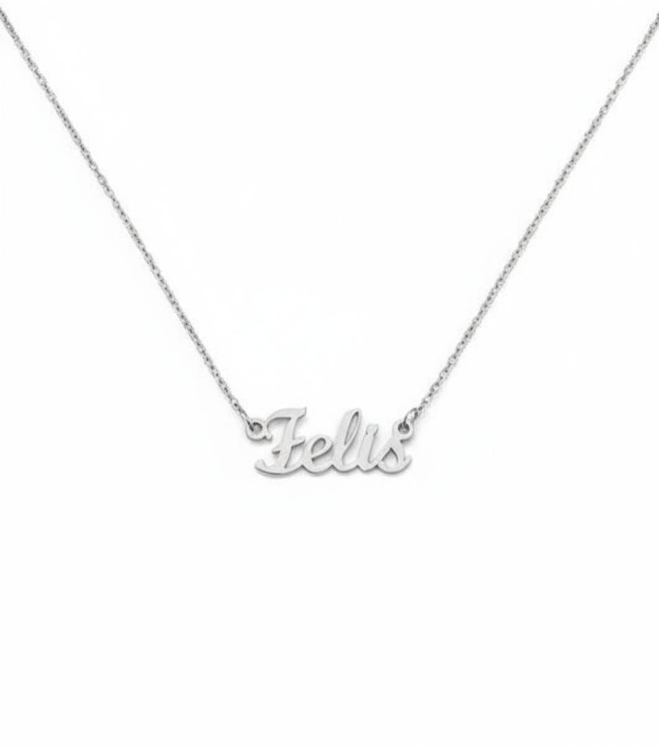Felis Necklace – The Cat Genus