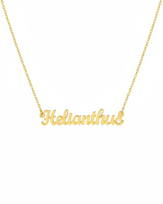 Helianthus Necklace – The Sunflower Genus