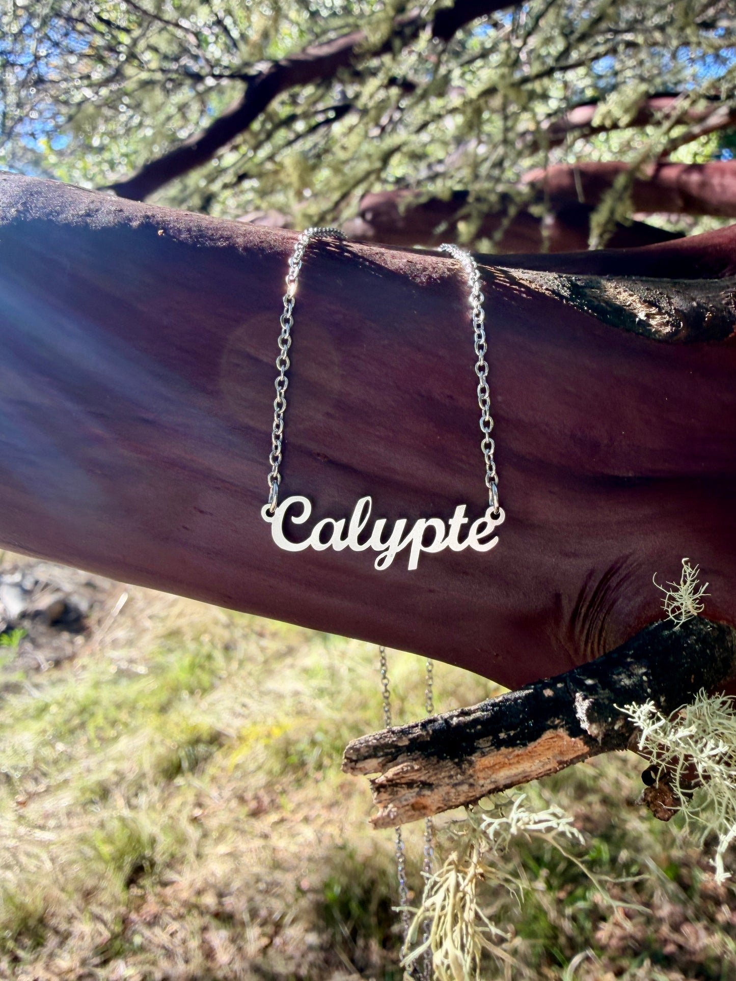 Calypte Necklace – The Hummingbird Genus