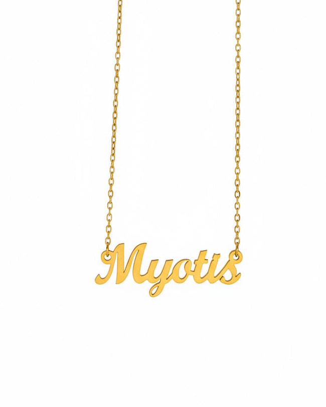 Myotis Necklace – The Little Brown Bat Genus
