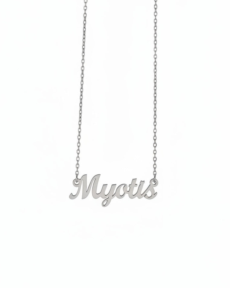 Myotis Necklace – The Little Brown Bat Genus