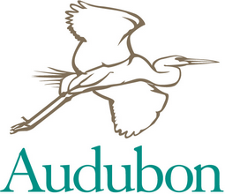 Support Conservation Efforts: Optional Donation to Charity