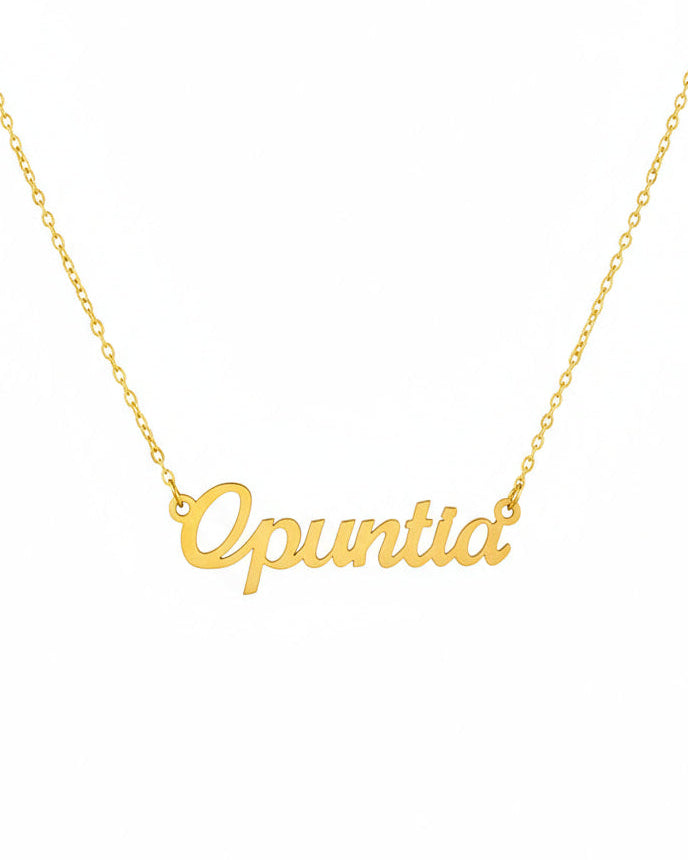 Opuntia Necklace – The Prickly Pear Cactus Genus