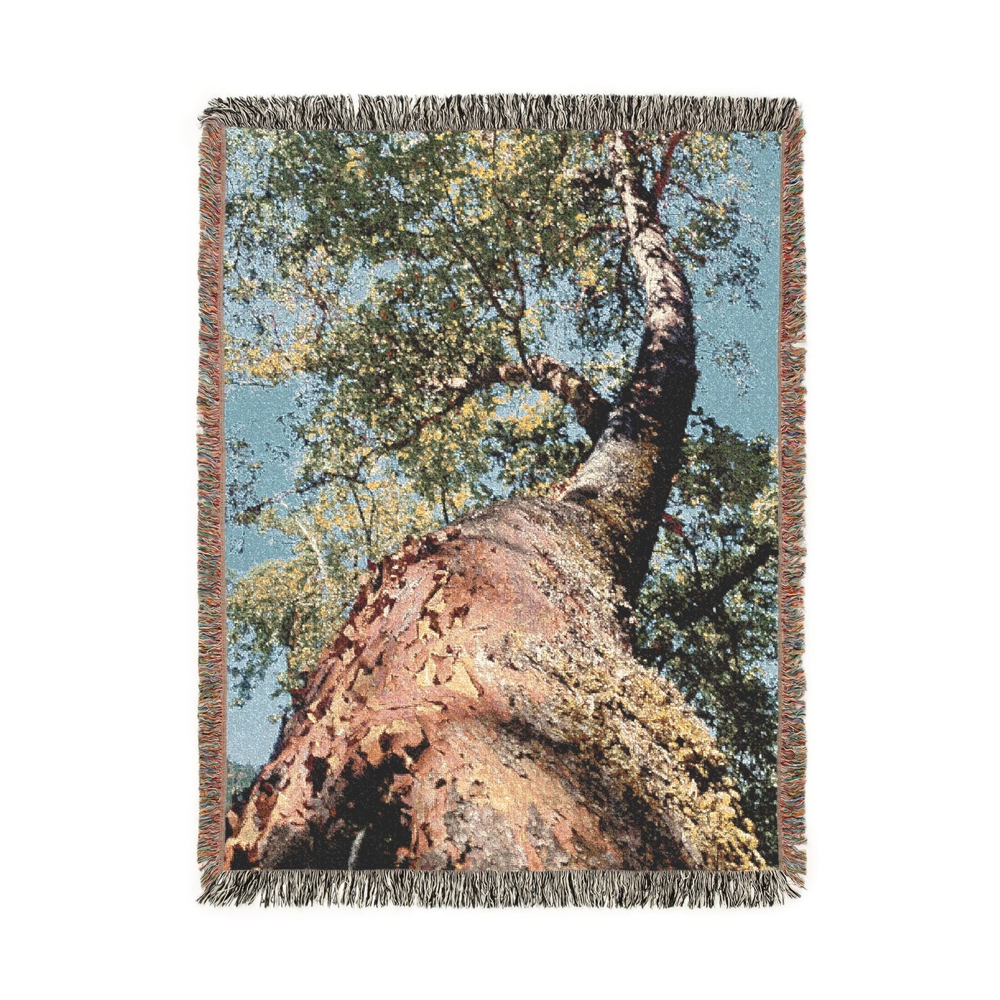 Pacific Madrone (Arbutus menziesii) - Woven Cotton Blanket