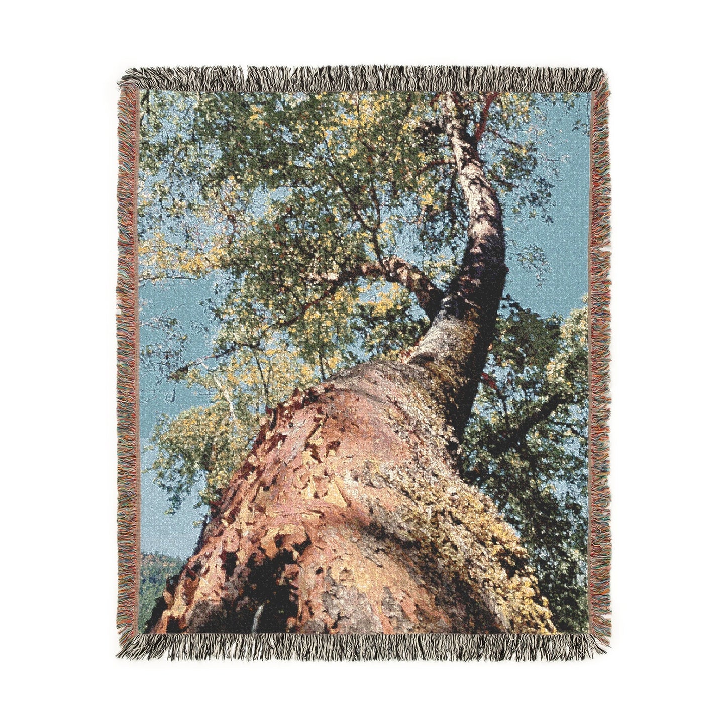 Pacific Madrone (Arbutus menziesii) - Woven Cotton Blanket