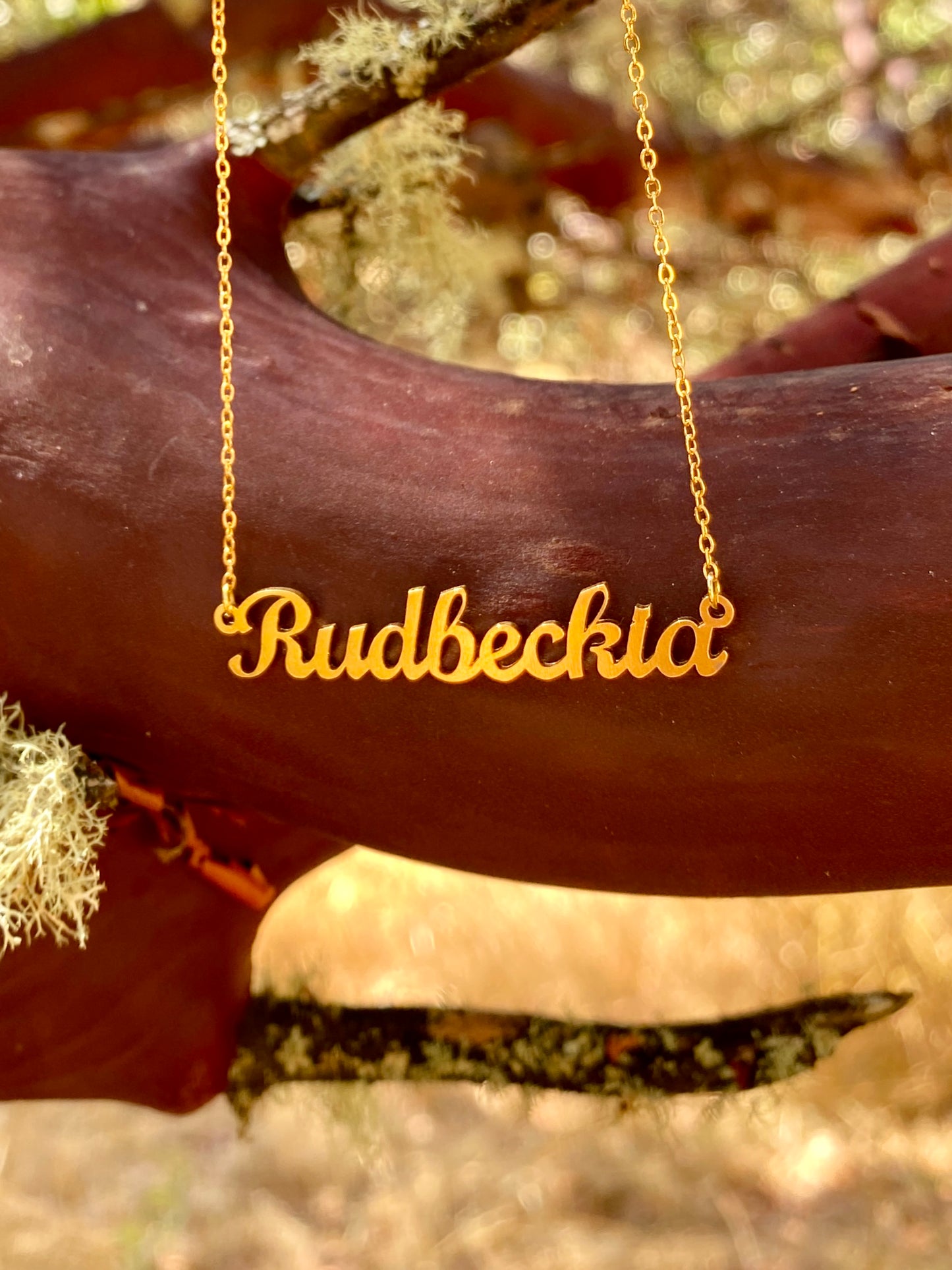 Rudbeckia Necklace – The Black-Eyed Susan Genus