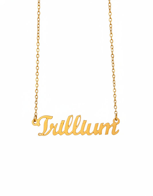 Gold necklace with 'Tullium' pendant hanging on a branch with lichen.