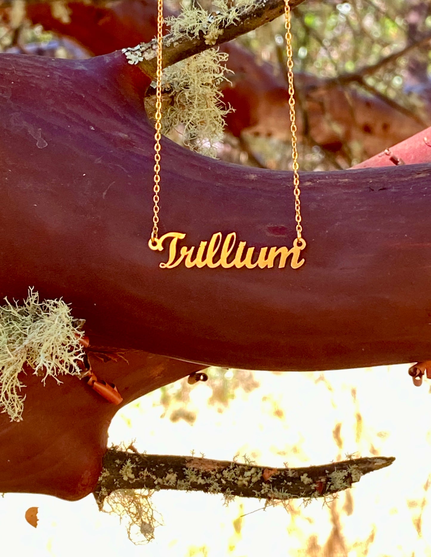 Trillium Necklace – The Trillium Ephemeral Genus