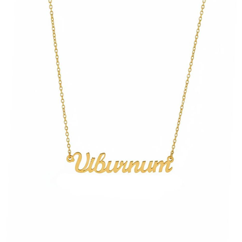 Viburnum Necklace  –The Cranberrybush Genus