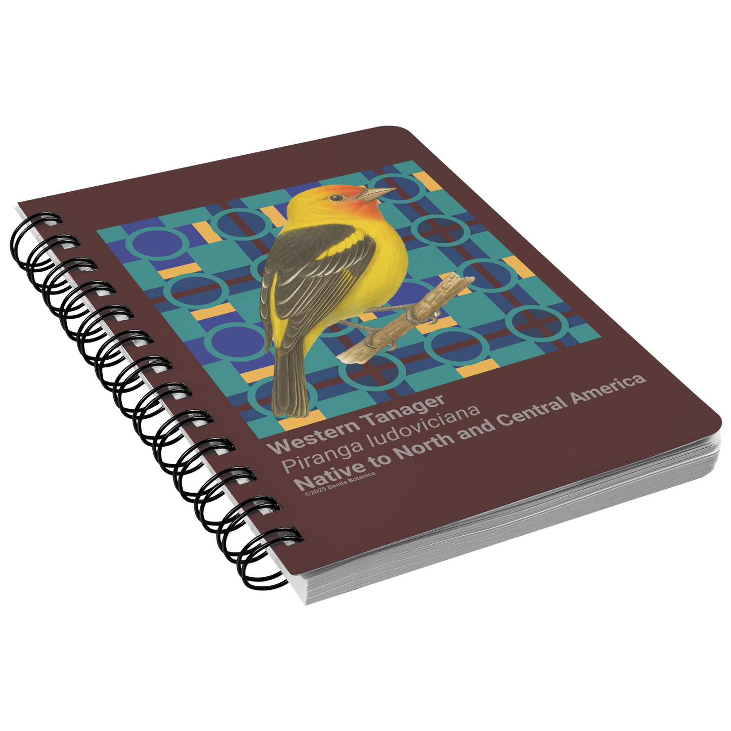 Western_Tanager_Piranga_ludoviciana_-__SN_Front_Angle_Mockup.png
