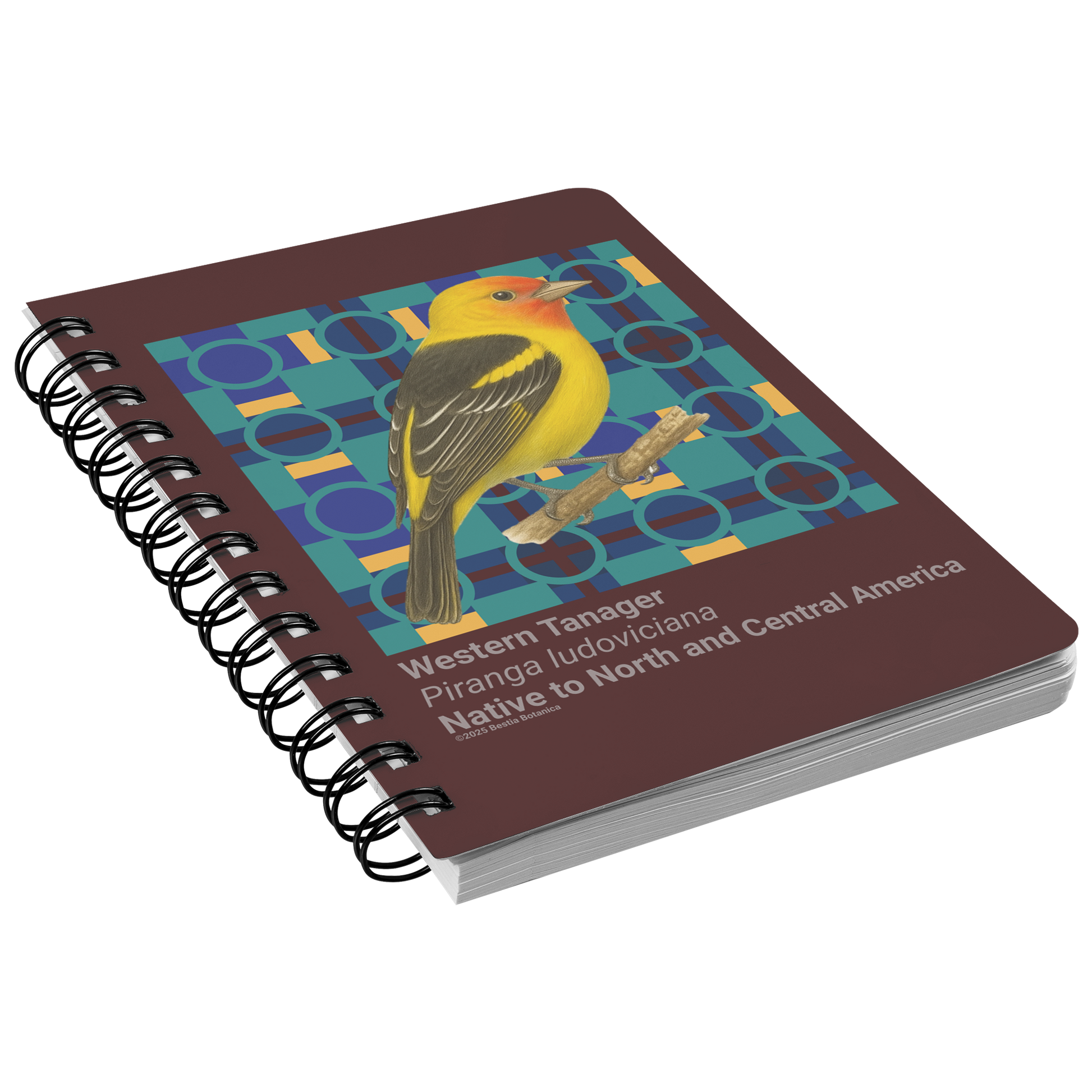 Western_Tanager_Piranga_ludoviciana_-__SN_Front_Angle_Mockup.png