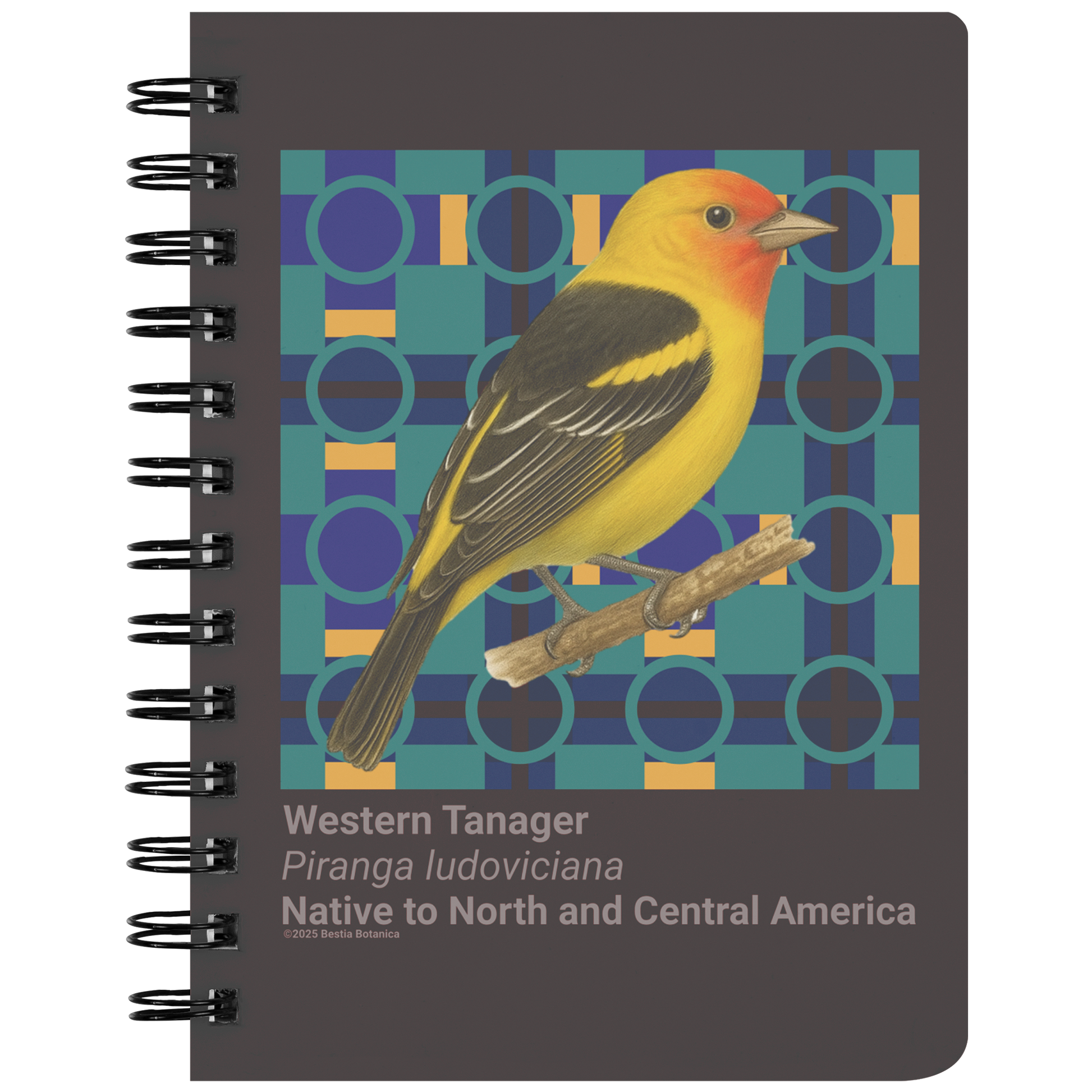 Western_Tanager_Piranga_ludoviciana_-__SN_Front_Mockup.png