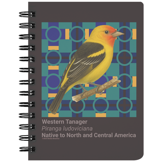 Western_Tanager_Piranga_ludoviciana_-__SN_Front_Mockup.png