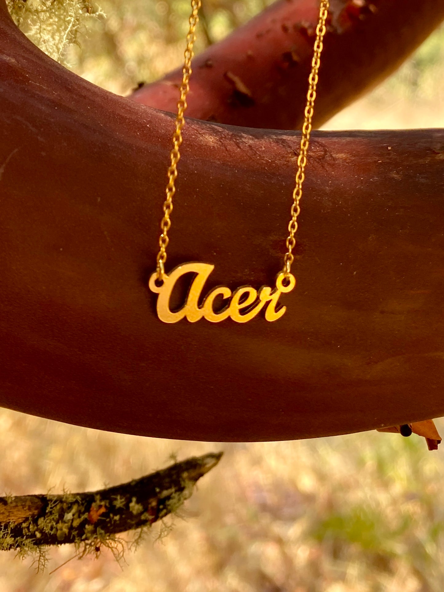 Acer Necklace – The Maple Genus
