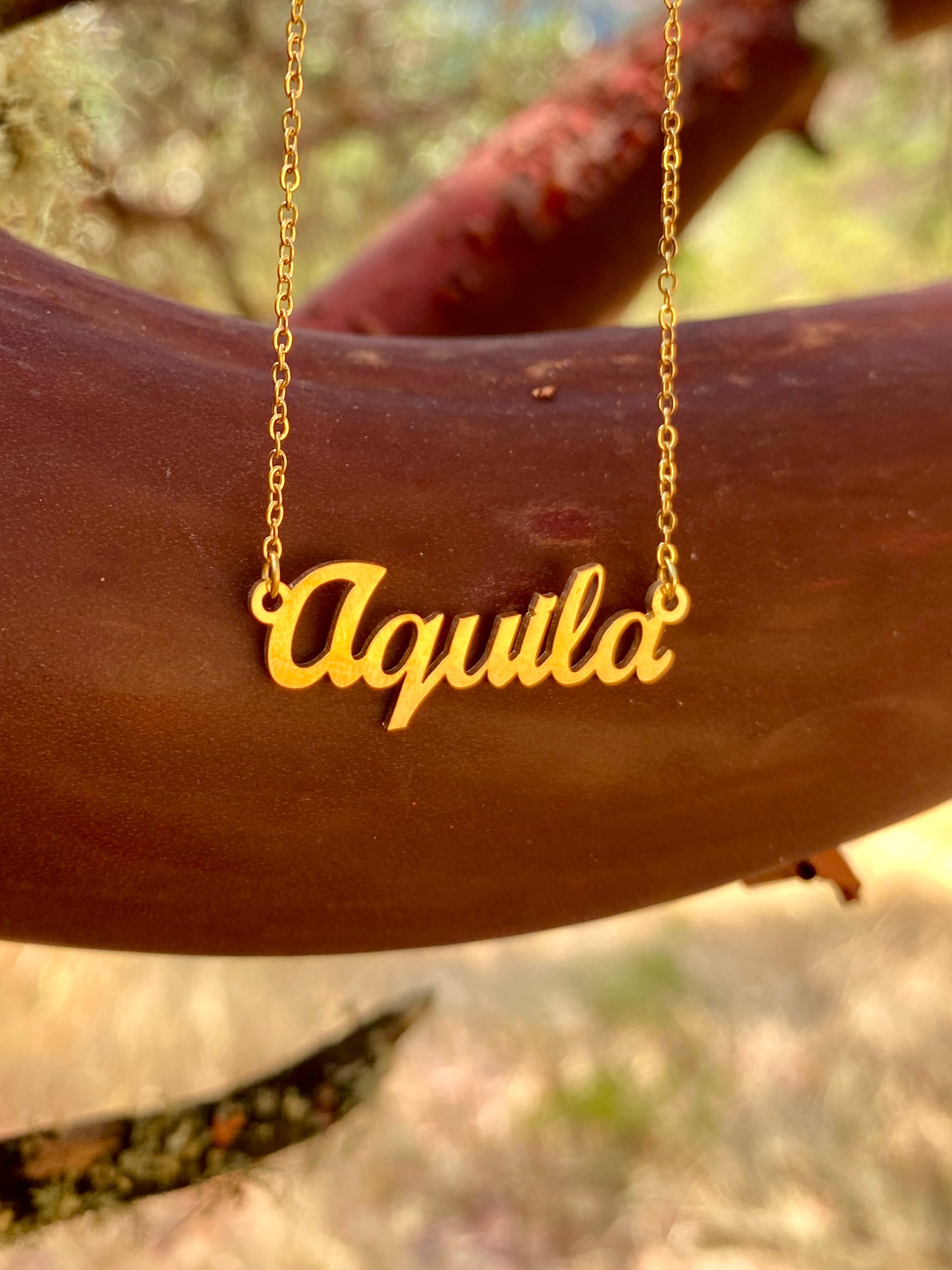 Aquila Necklace – The Eagle Genus