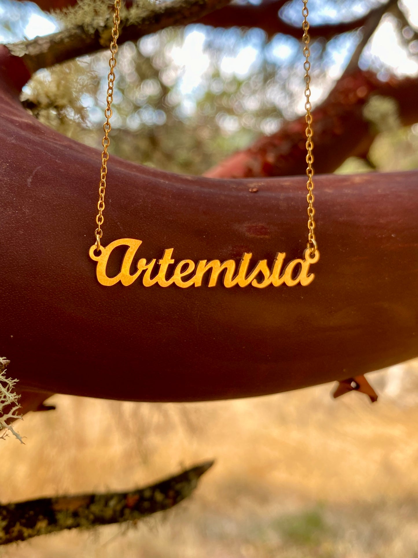 Artemisia Necklace – The Mugwort Genus