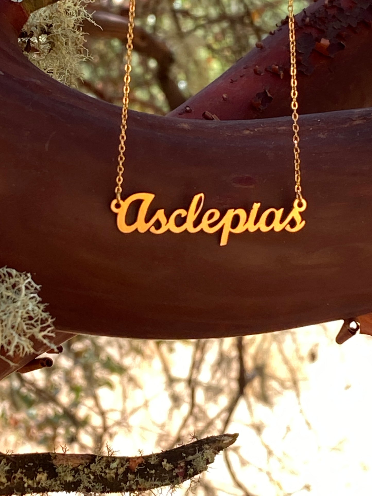 Asclepias Necklace – The Milkweed Genus