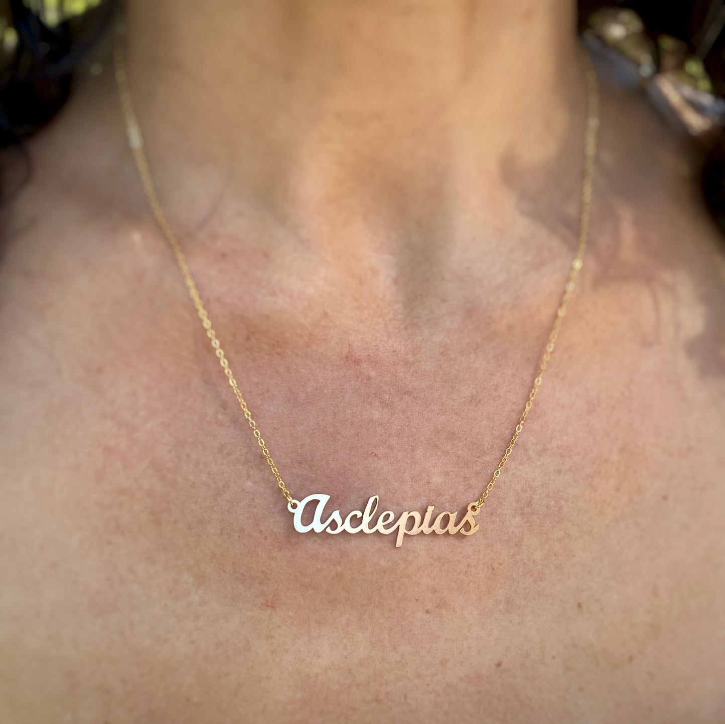 Asclepias Necklace – The Milkweed Genus