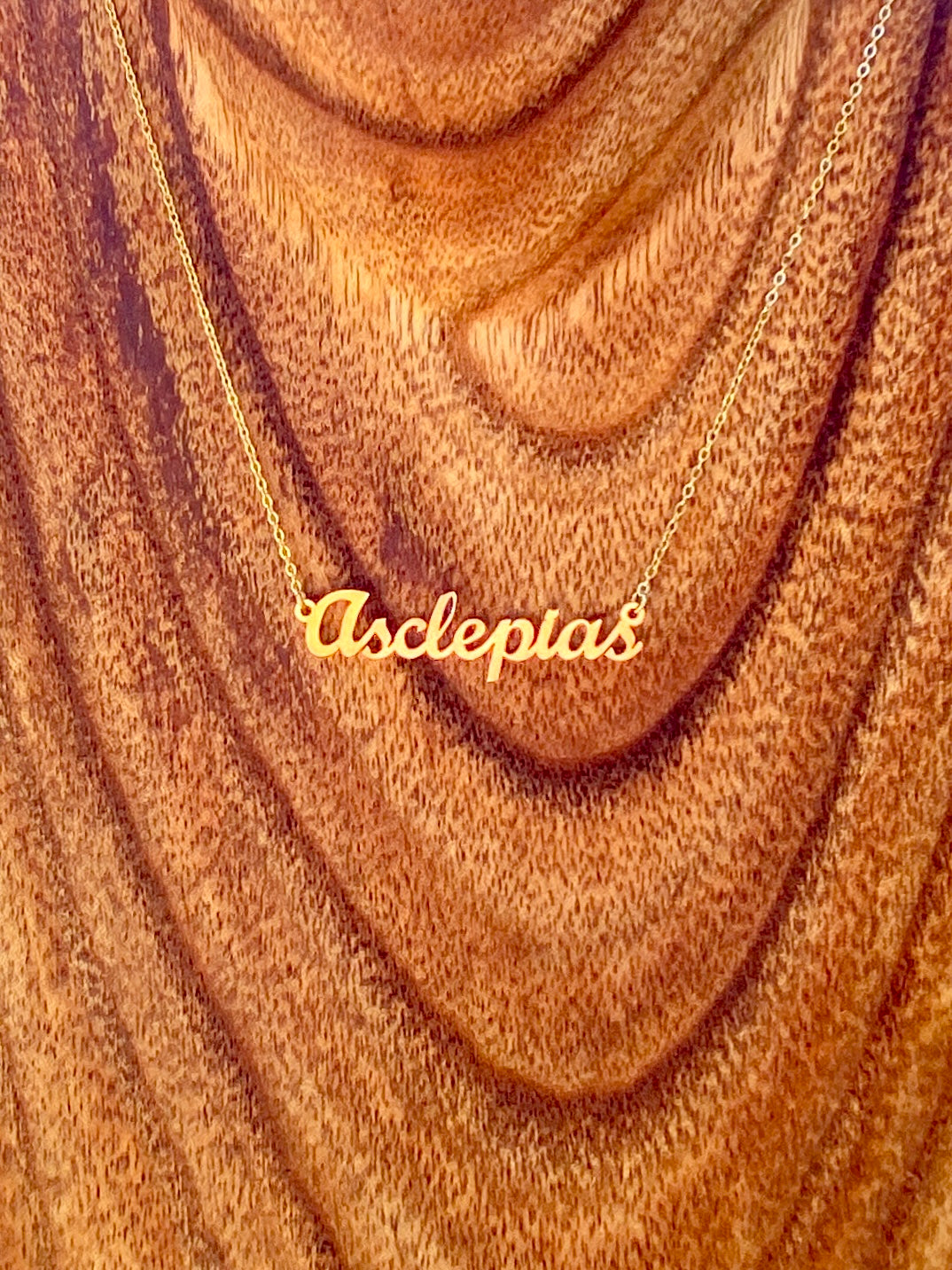 Asclepias Necklace – The Milkweed Genus