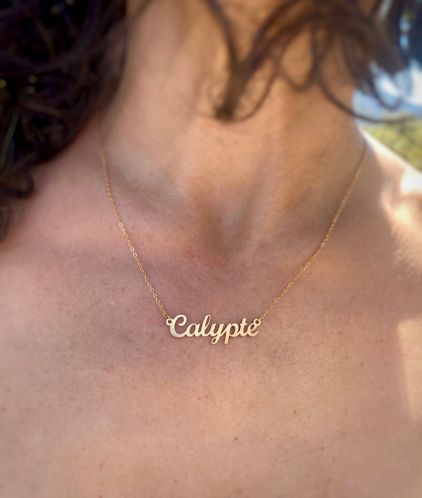 Calypte Necklace – The Hummingbird Genus