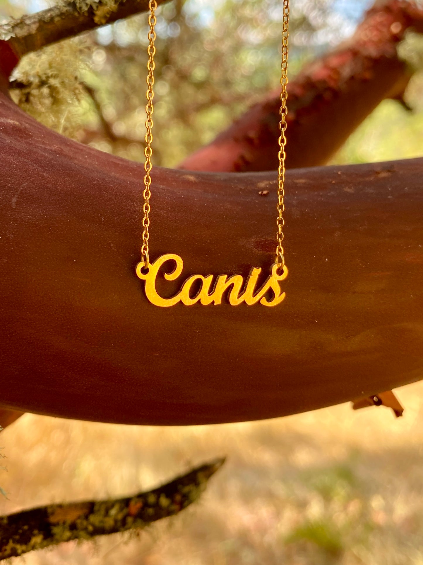 Canis Necklace – The Dog and Wolf Genus