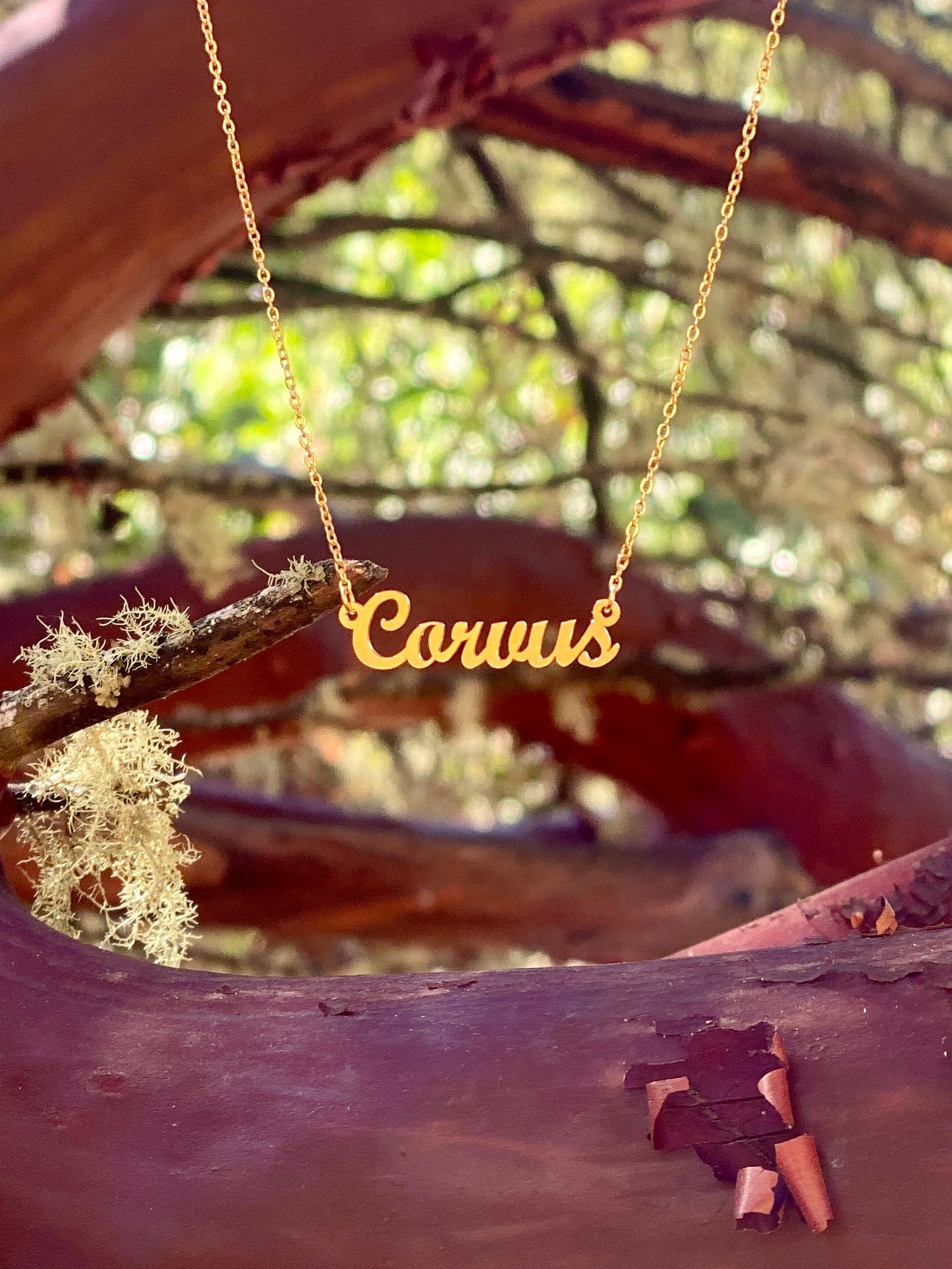 Corvus Necklace – The Raven and Crow Genus