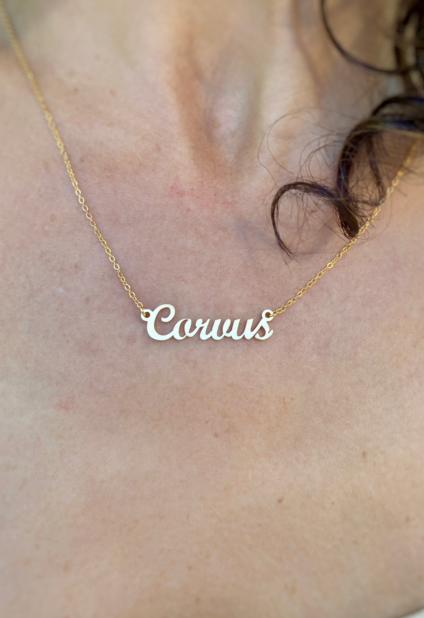 Corvus Necklace – The Raven and Crow Genus