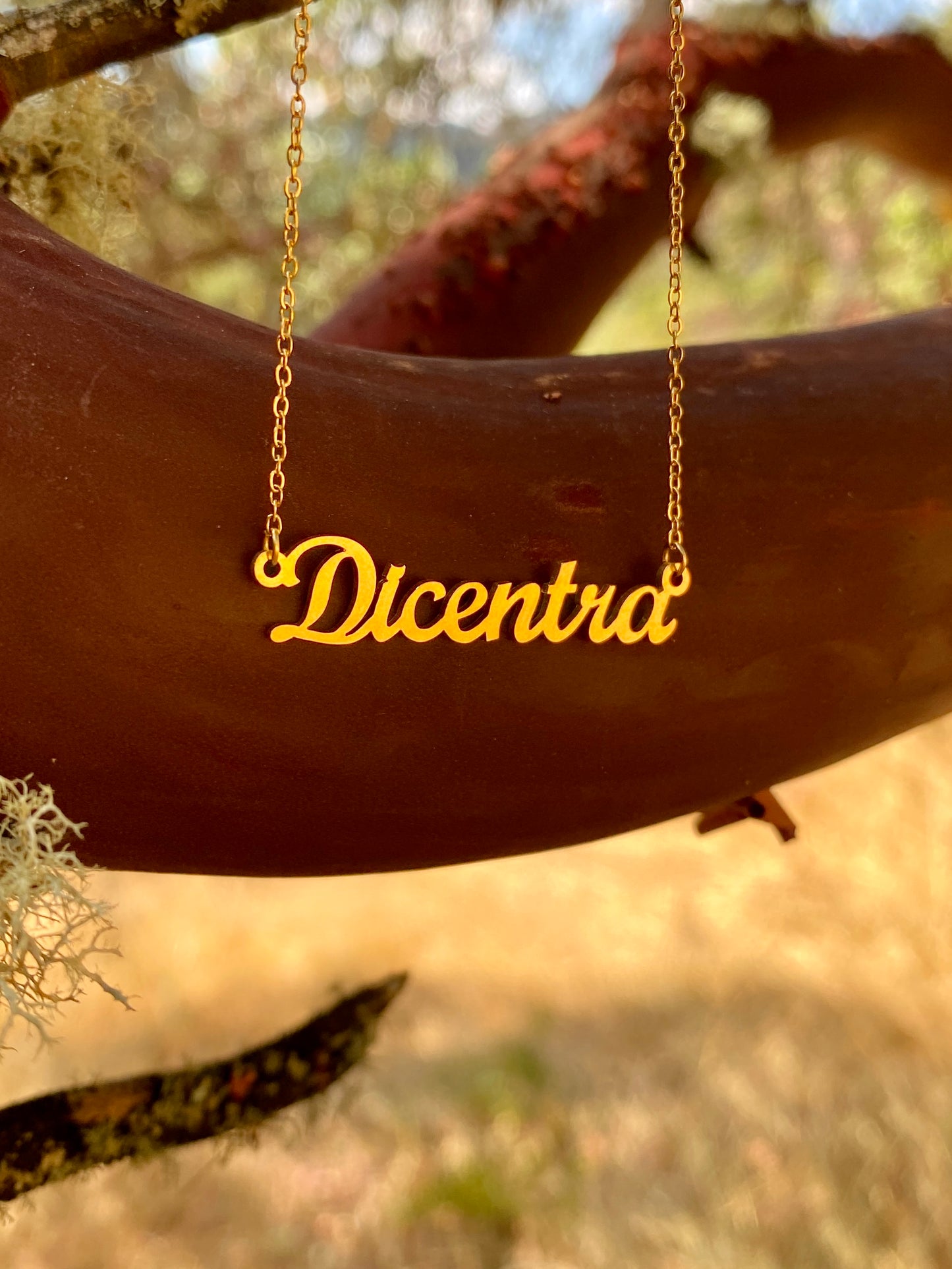 Dicentra Necklace – The Bleeding Heart Genus