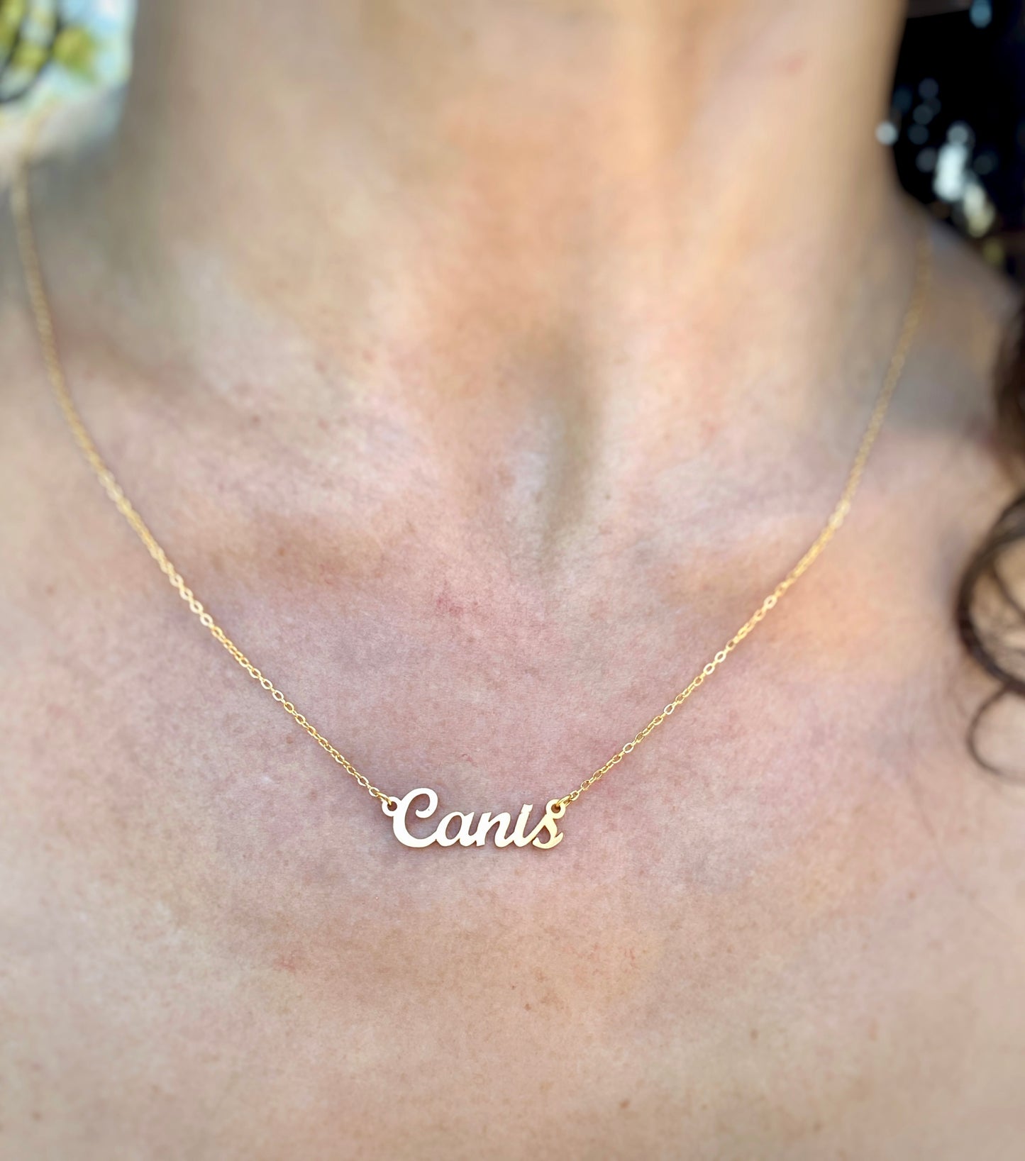 Canis Necklace – The Dog and Wolf Genus