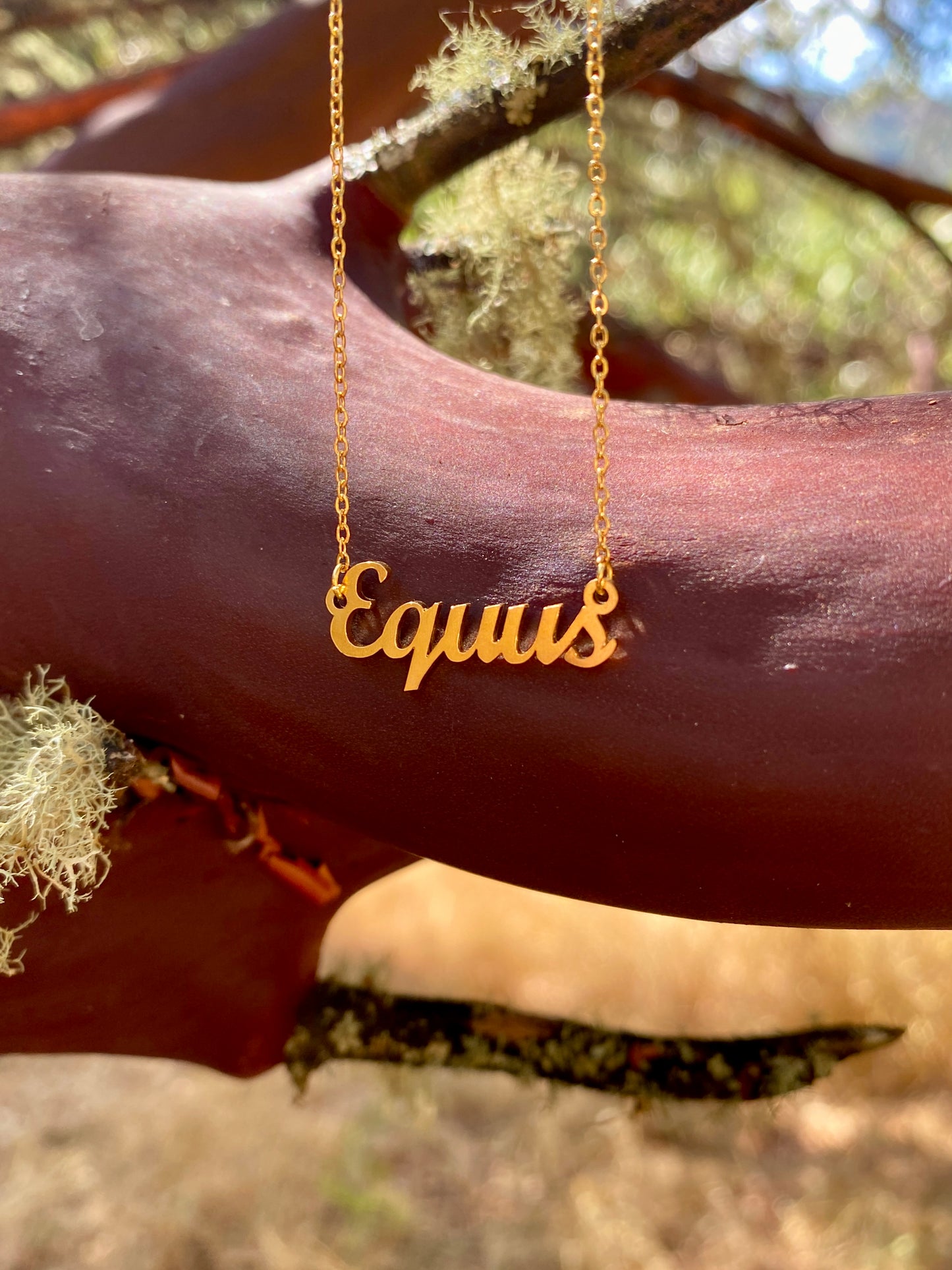 Equus Necklace – The Horse Genus