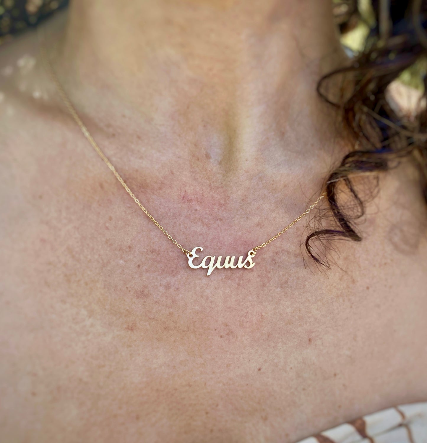 Equus Necklace – The Horse Genus