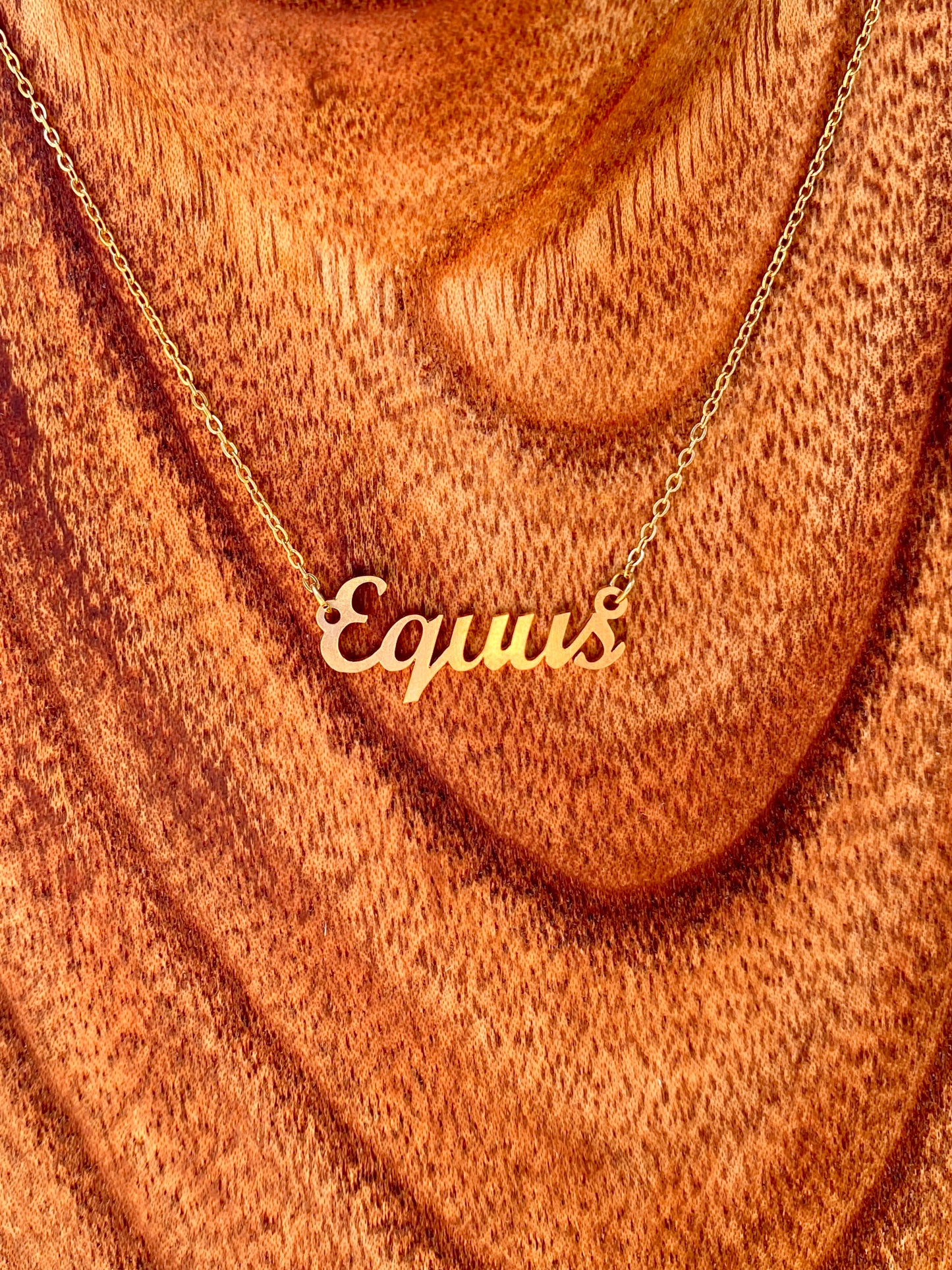 Equus Necklace – The Horse Genus
